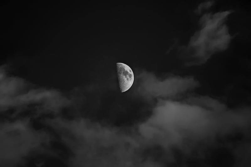 Moonlit Ceremony