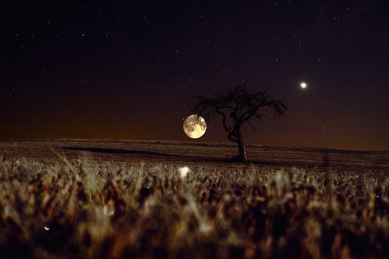 Starry Night Sky
